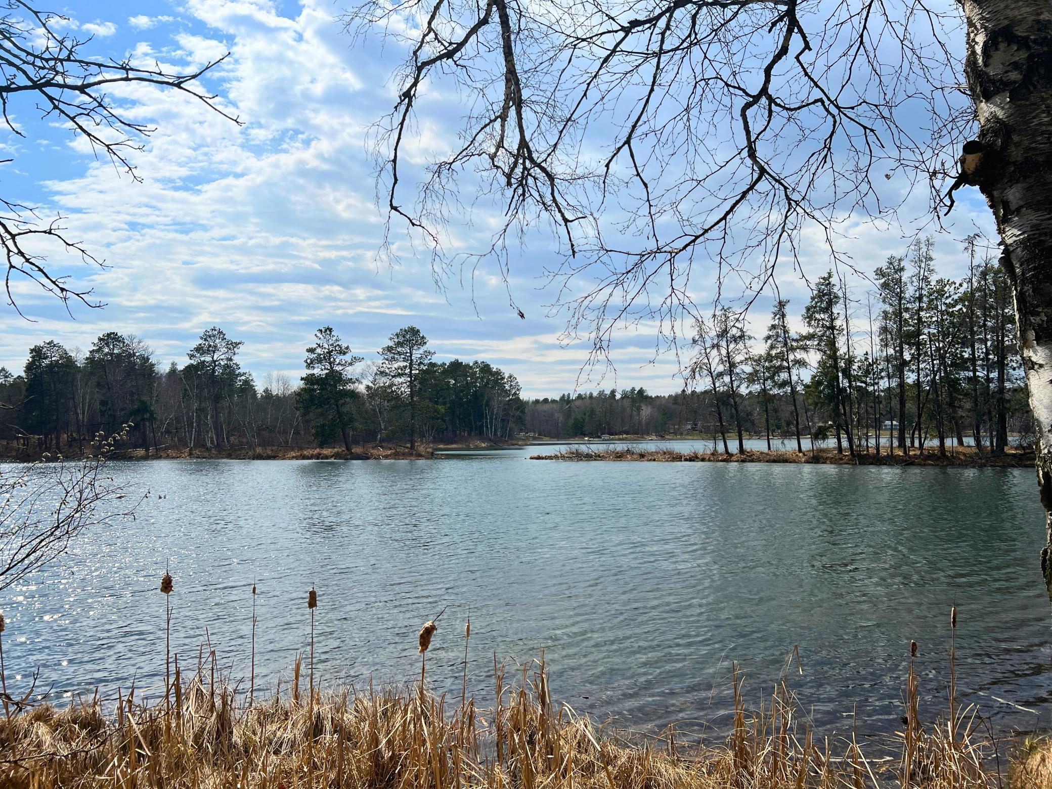 22175 Grand Pines Trail