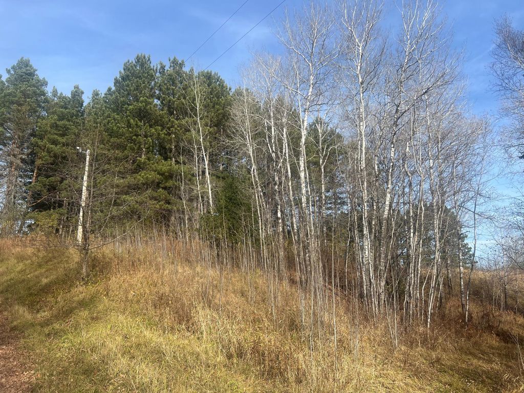 Photo of 0000 Wick Road, Saginaw, MN 55779 (MLS # 7102685)