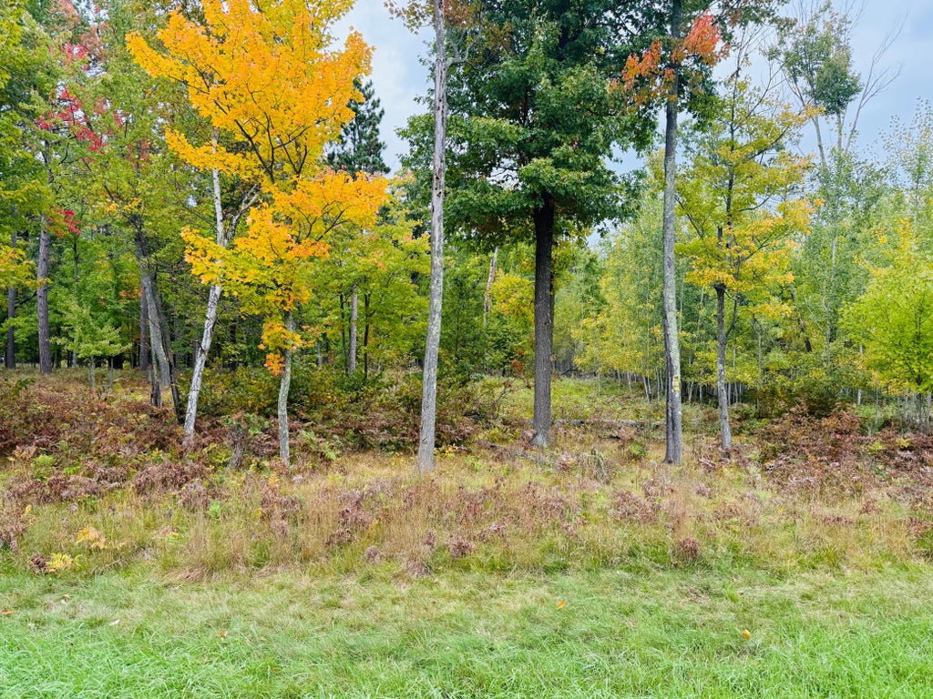Photo of L1 B4 Drahos Road, Brainerd, MN 56401 (MLS # 7153719)