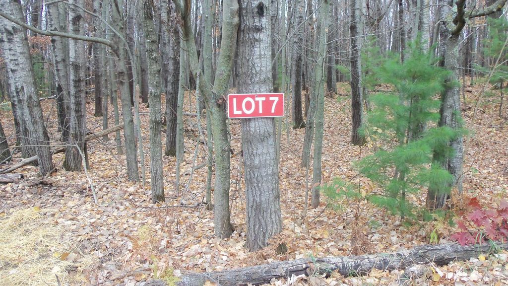 Photo of Lot 7 Herman Johnson Rd, Siren Twp, WI 54872 (MLS # 6815105)