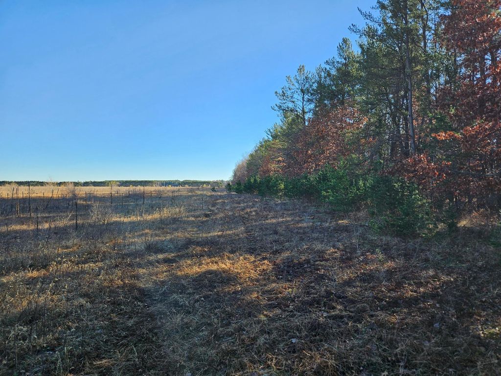 Photo of Parcel C Keystone Avenue, Sunrise, MN 55032 (MLS # 6786795)