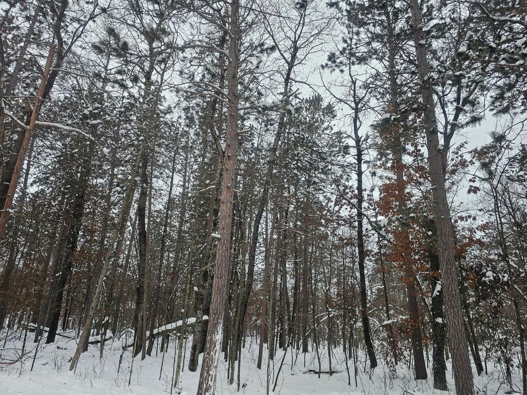 Photo of Lot 7 Long Lake Road, Danbury, WI 54830 (MLS # 6826456)