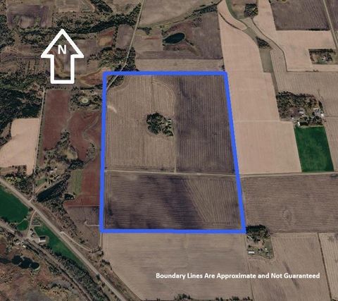 Photo of 2075 80th Street SW, Montevideo, MN 56265 (MLS # 7034684)