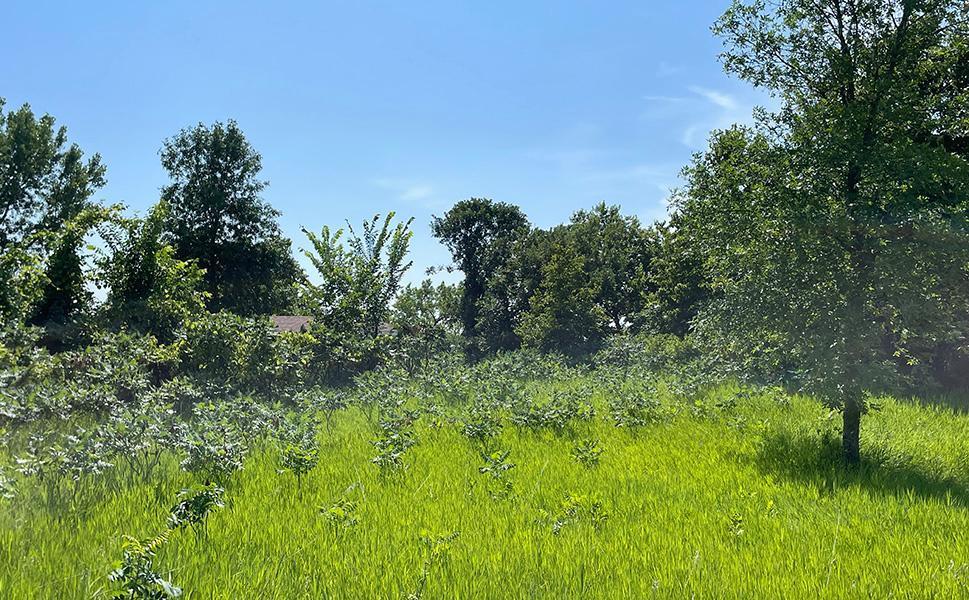 Lot 4 Seclusion Point Road