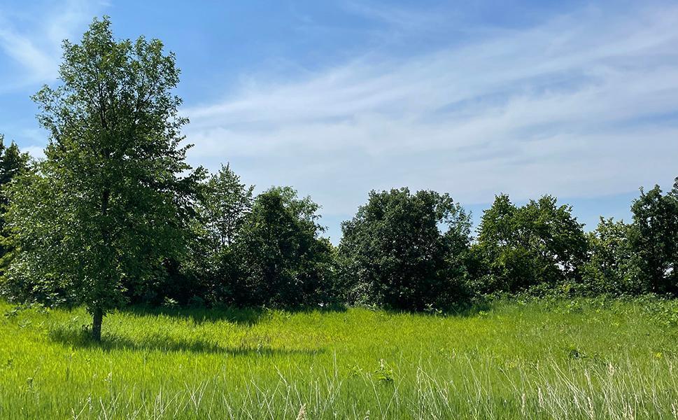 Lot 4 Seclusion Point Road