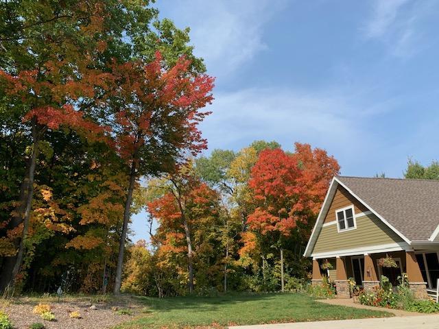 Beautiful Fall Colors