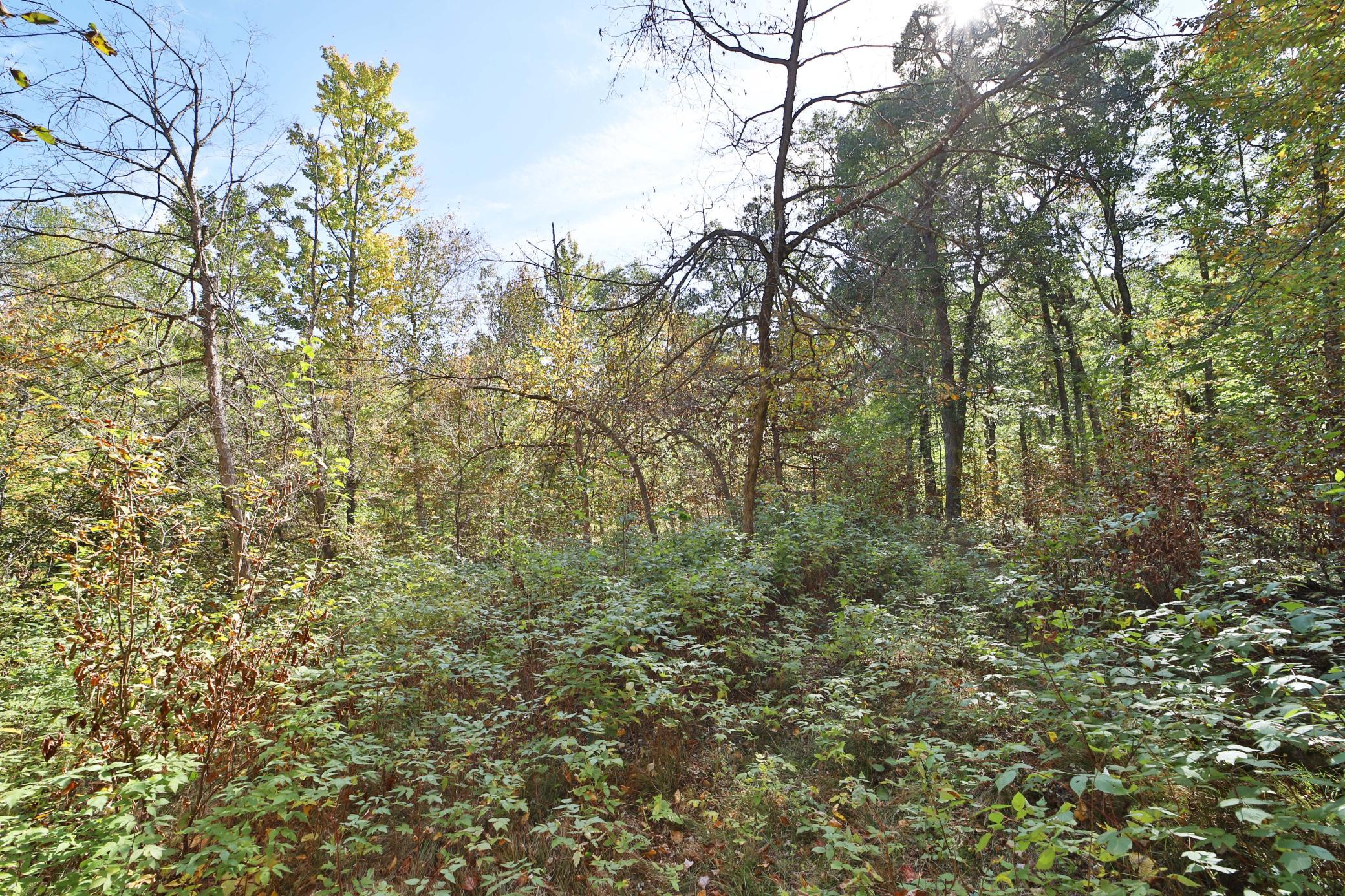 TBD White Overlook Drive