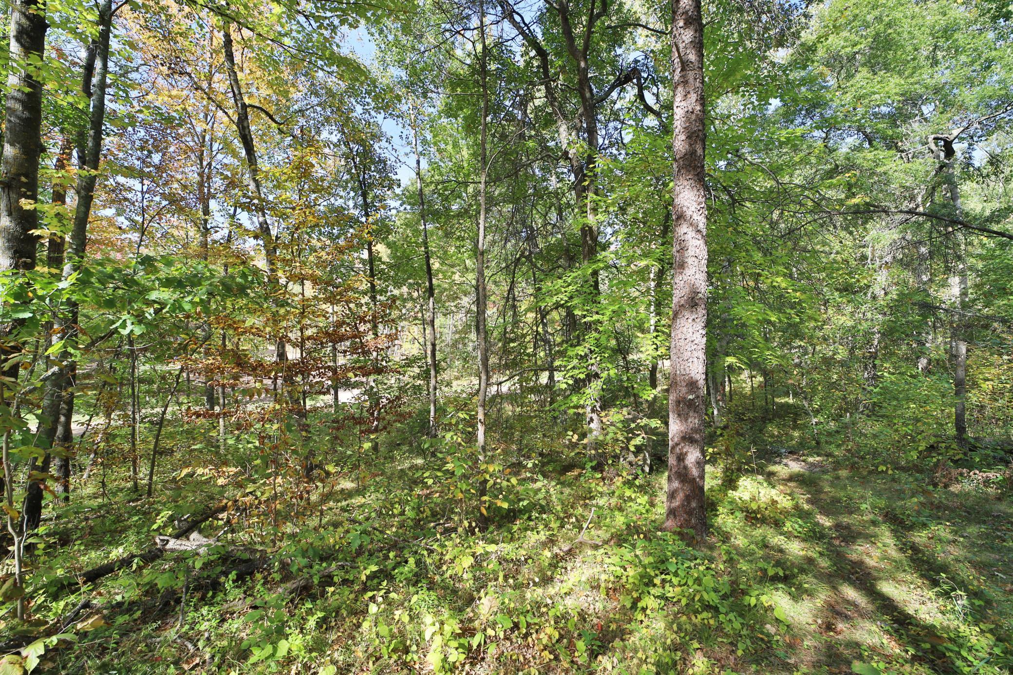 TBD White Overlook Drive