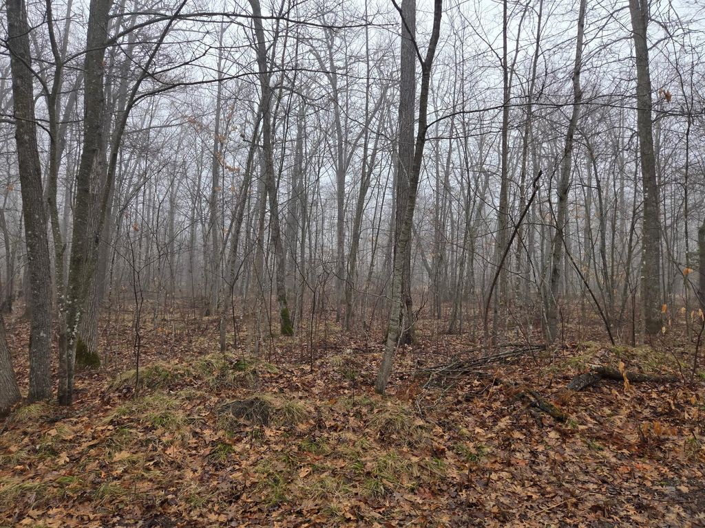 Photo of TBD XXX, Longville, MN 56655 (MLS # 7055429)