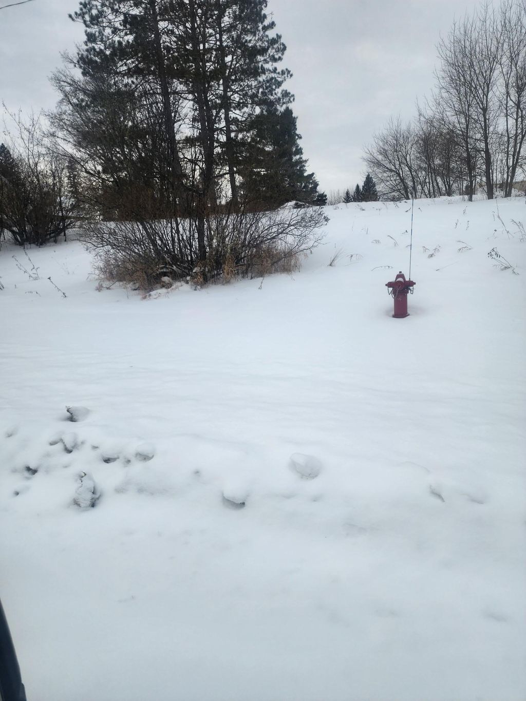 Photo of 12096 Ramsey Street, Northome, MN 56661 (MLS # 7007486)