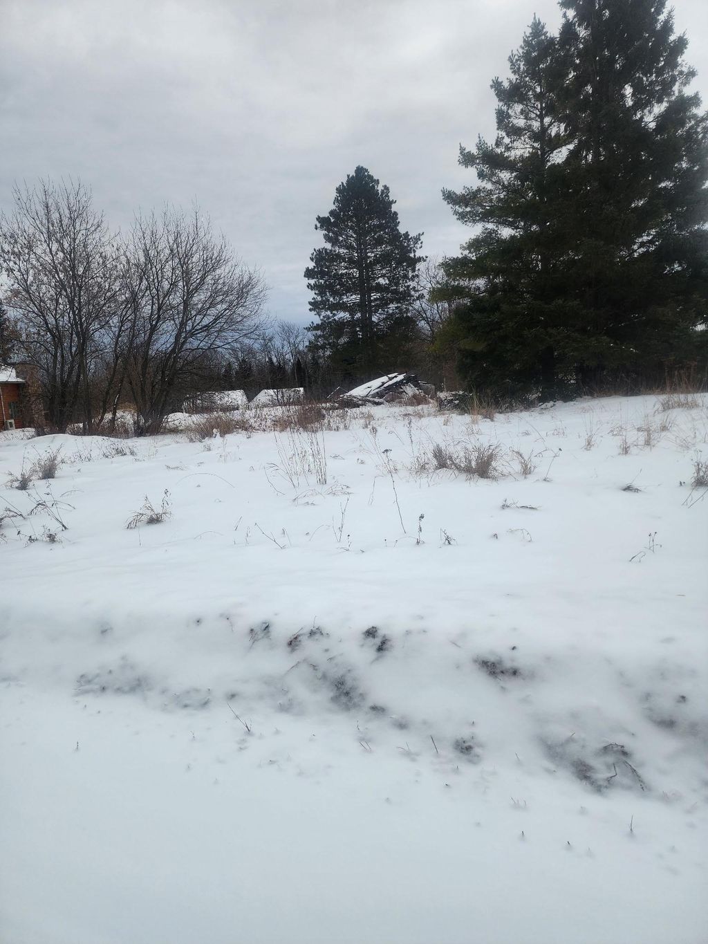 Photo of 12096 Ramsey Street, Northome, MN 56661 (MLS # 7007486)