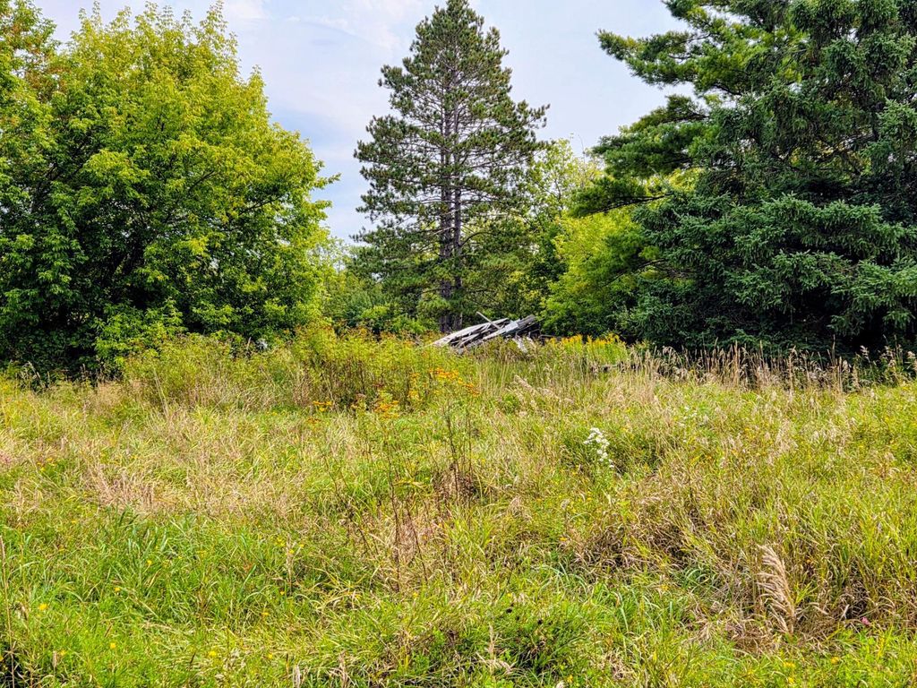 Photo of 12096 Ramsey Street, Northome, MN 56661 (MLS # 7007486)