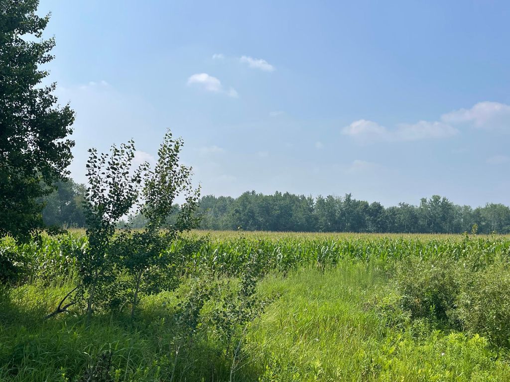 Photo of XXX 17th Street, Princeton, MN 55371 (MLS # 7055221)