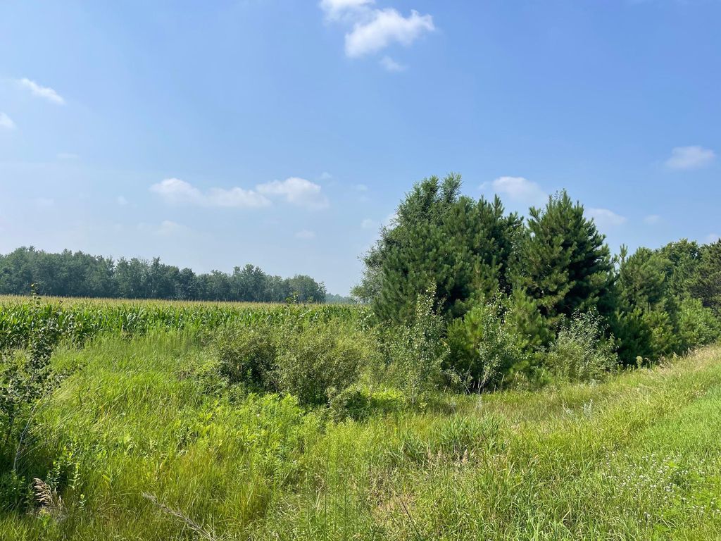 Photo of XXX 17th Street, Princeton, MN 55371 (MLS # 7055221)