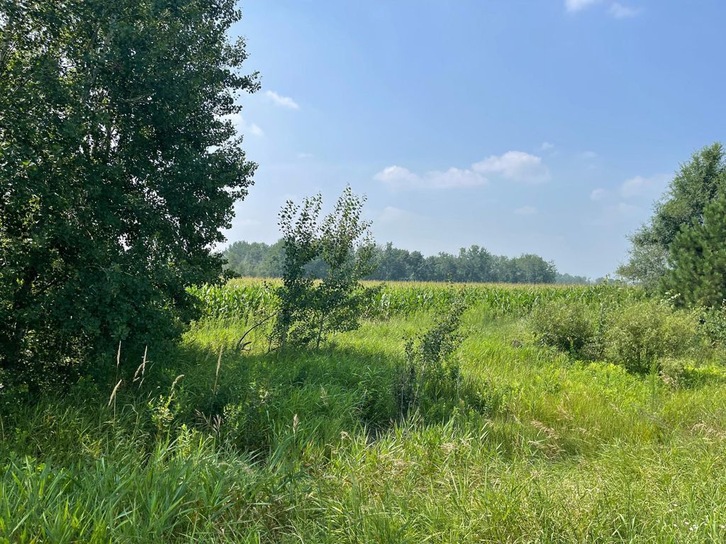 Photo of XXX 17th Street, Princeton, MN 55371 (MLS # 7055221)