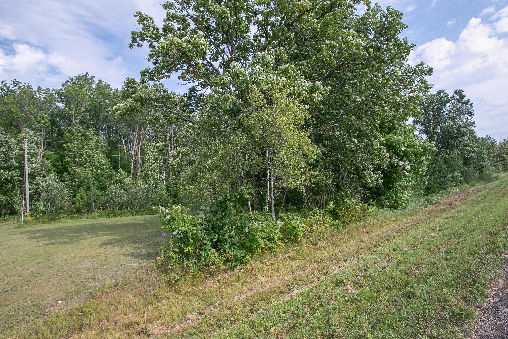TBD County Road 11