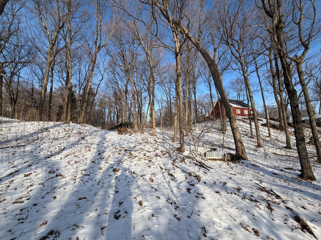 Photo of Lot 37&amp;38 Earle Brown Drive, Garrison, MN 56450 (MLS # 7033600)