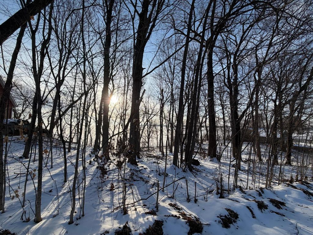 Photo of Lot 37&amp;38 Earle Brown Drive, Garrison, MN 56450 (MLS # 7033600)