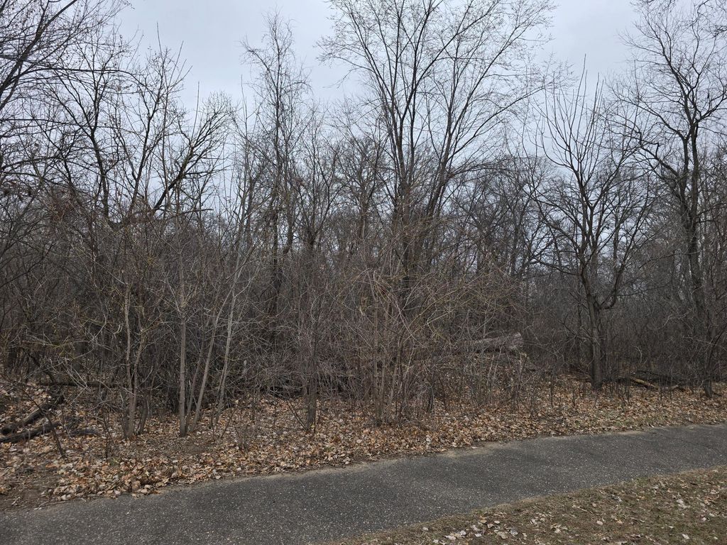 Photo of L2,B2 288th Avenue NW, Zimmerman, MN 55398 (MLS # 7052581)