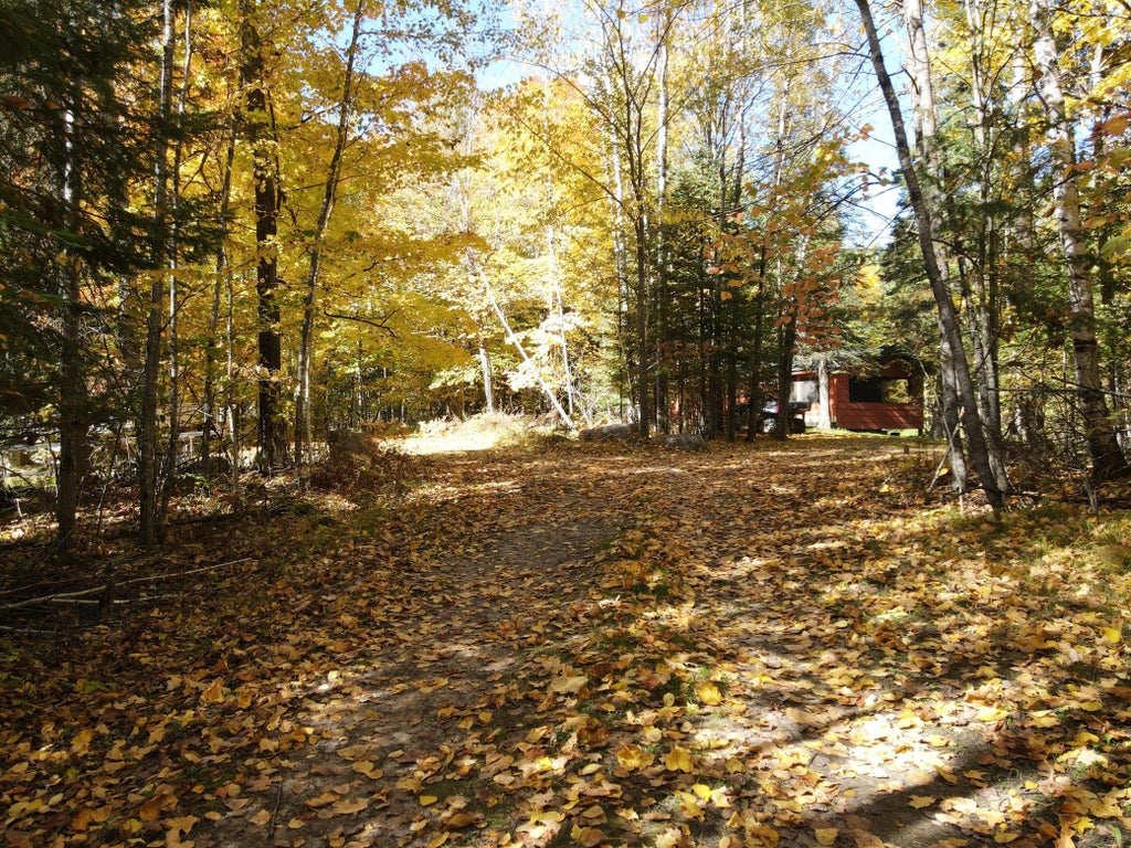 Photo of 41748 Teal RD, Bigfork, MN 56628 (MLS # 7154283)