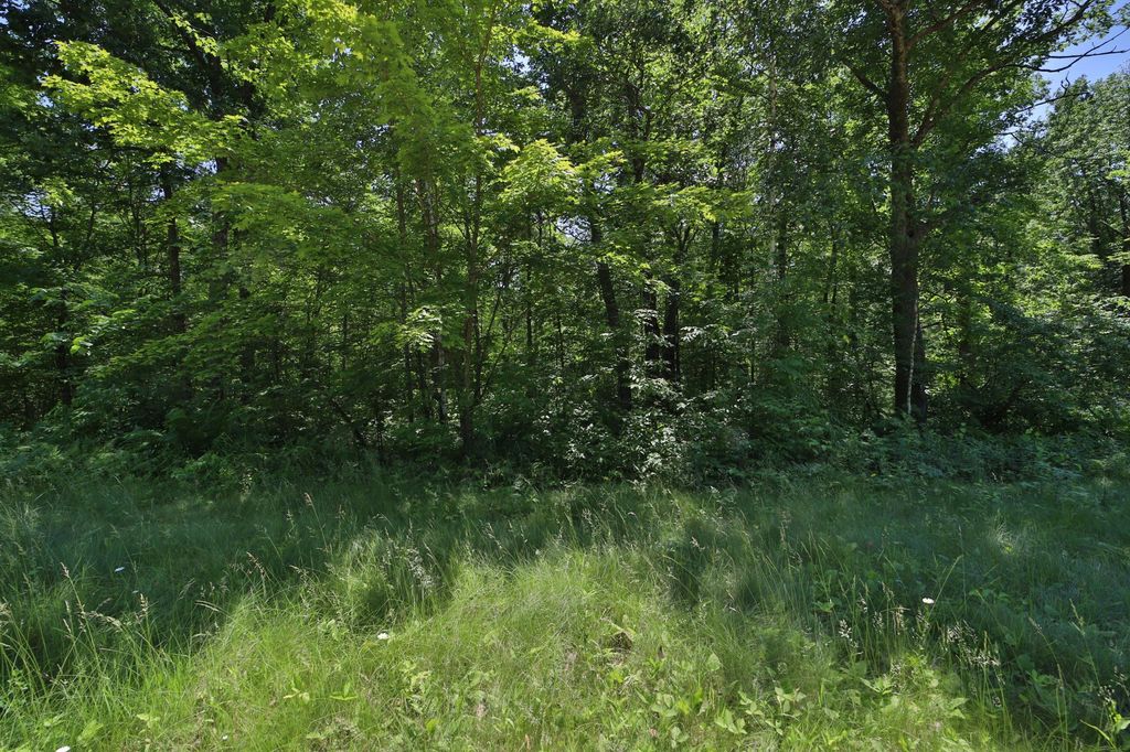 Photo of Tract D Olander Road, Crosby, MN 56441 (MLS # 7052528)