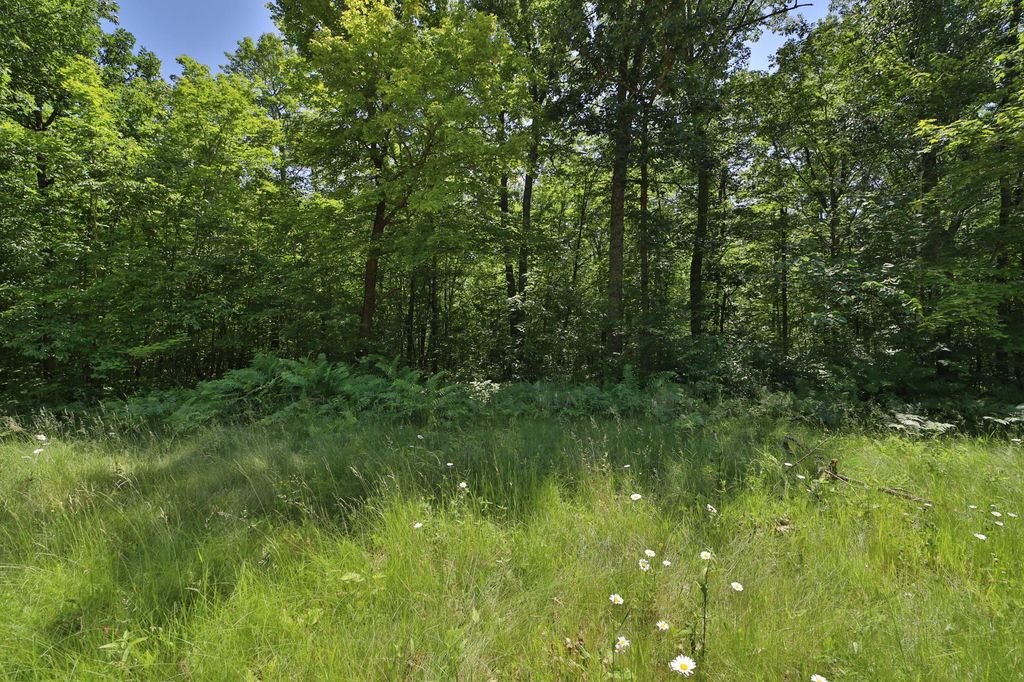 Photo of Tract D Olander Road, Crosby, MN 56441 (MLS # 7052528)