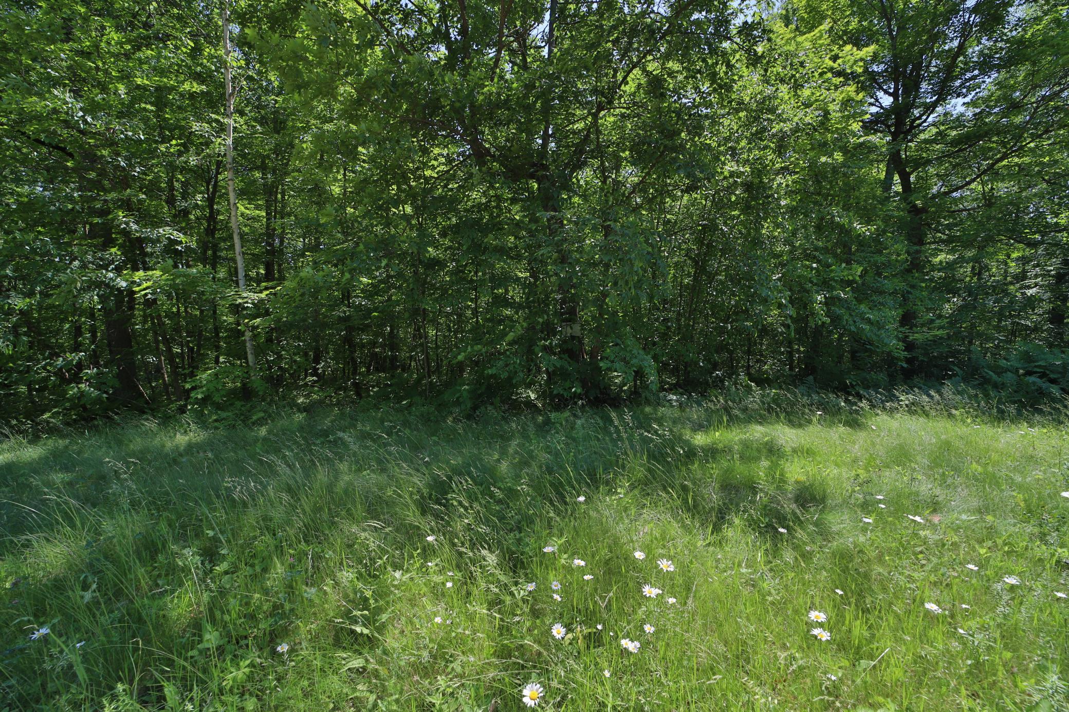 Tract D Olander Road