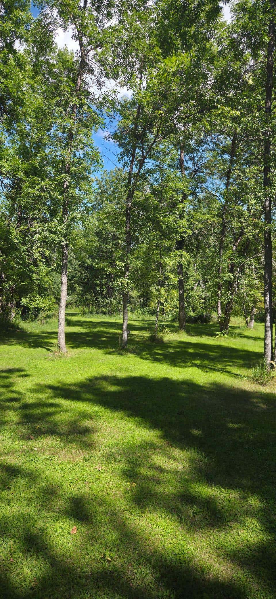 Photo of 305 5th Avenue W, Federal Dam, MN 56641 (MLS # 7128195)