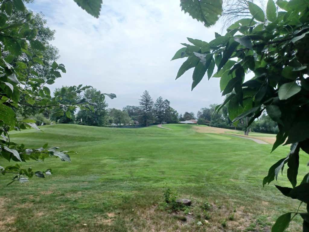 Photo of 8101 Westwood Hills Drive, Saint Louis Park, MN 55426 (MLS # 7127183)
