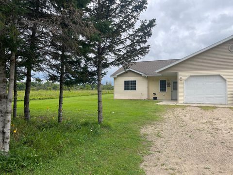 Photo of 316A 2nd Street NE, Bertha, MN 56437 (MLS # 6824334)