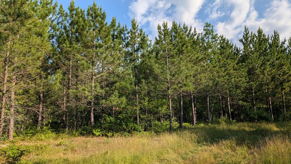 ADDRESS PRIVATE, ORR, MN 55771 - Image 1d091370edd5e063ed7fa2ed687965db/1325587475