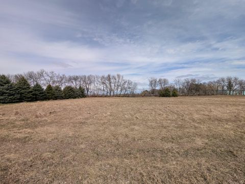 Photo of 0210 Shanas Court SW, Montevideo, MN 56265 (MLS # 7052745)