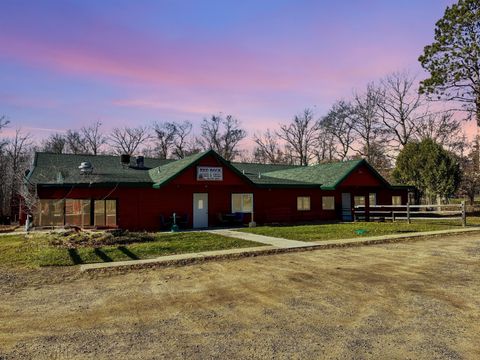 49463 202nd Place Shamrock Twp MN 55760