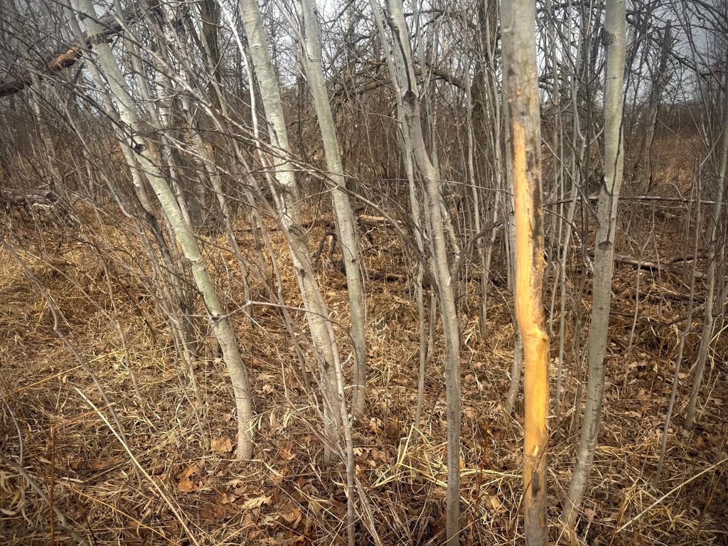 Photo of 2022 Dixon Line Road, Finlayson, MN 55735 (MLS # 7046826)