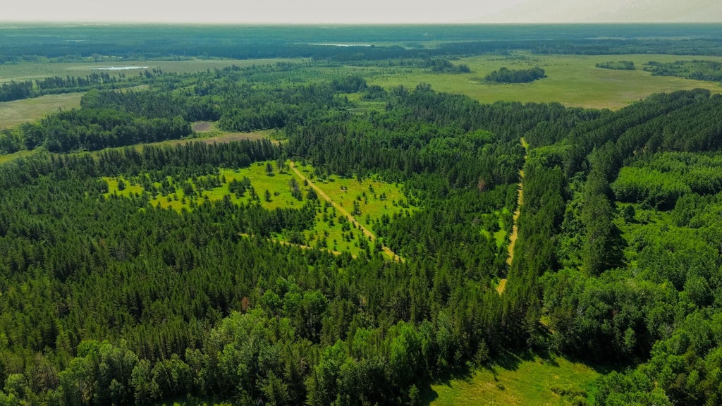 Photo of Tract 1 - TBD Hubbard Line Rd RD, Menahga, MN 56464 (MLS # 7116329)