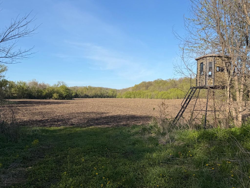 Photo of TBD Vista Ridge Lane NW, Byron, MN 55901 (MLS # 7066758)