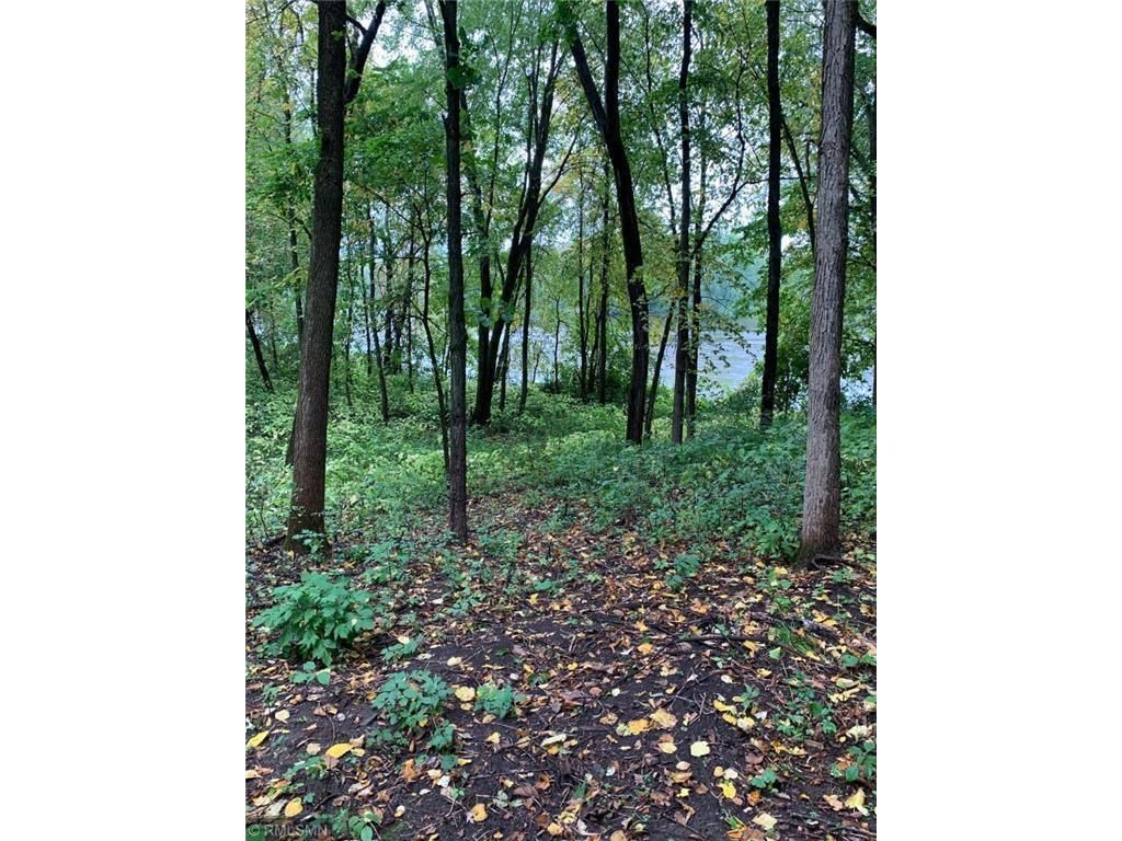 Photo of TBD Shoreline Drive, Little Falls, MN 56345 (MLS # 6824169)