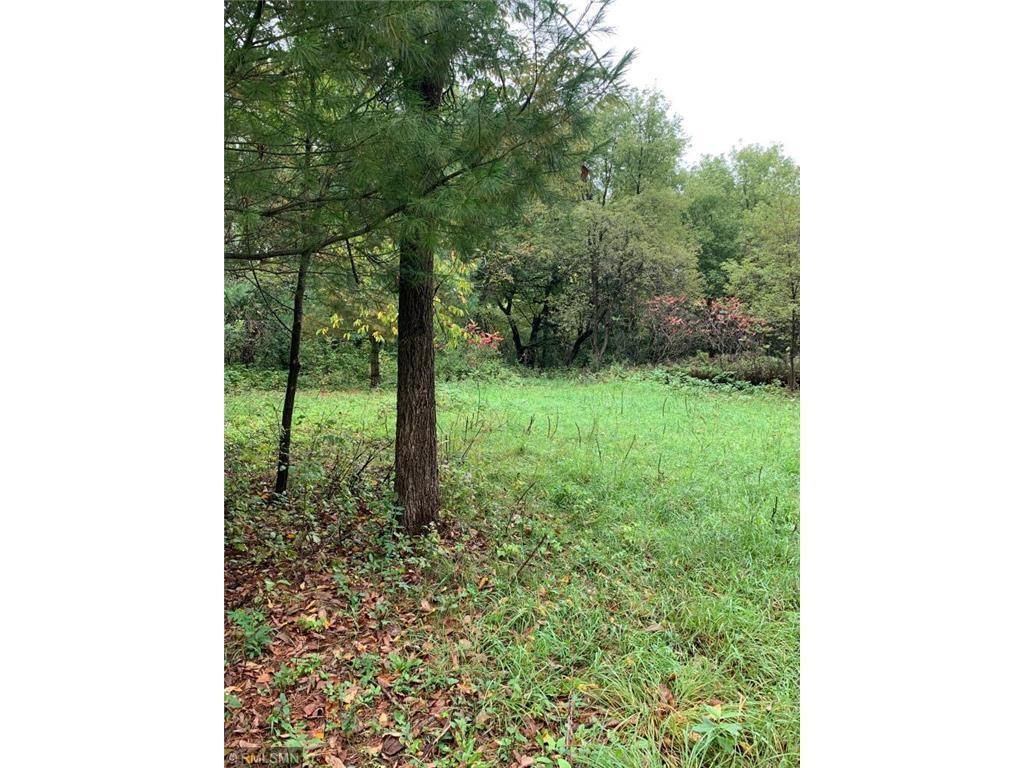 Photo of TBD Shoreline Drive, Little Falls, MN 56345 (MLS # 6824169)