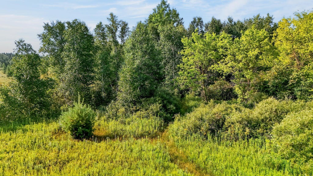 Photo of Lot 4 Bl 2 Hawthorn Road N, Hinckley, MN 55037 (MLS # 7143476)