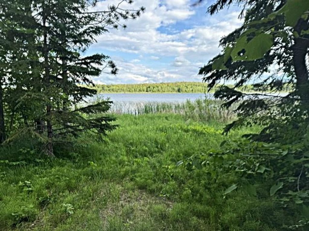 Photo of 23506 Bazanis Road, Cohasset, MN 55721 (MLS # 7091741)