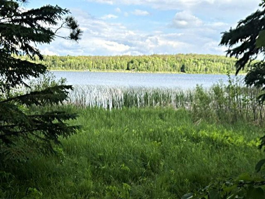 Photo of 23506 Bazanis Road, Cohasset, MN 55721 (MLS # 7091741)