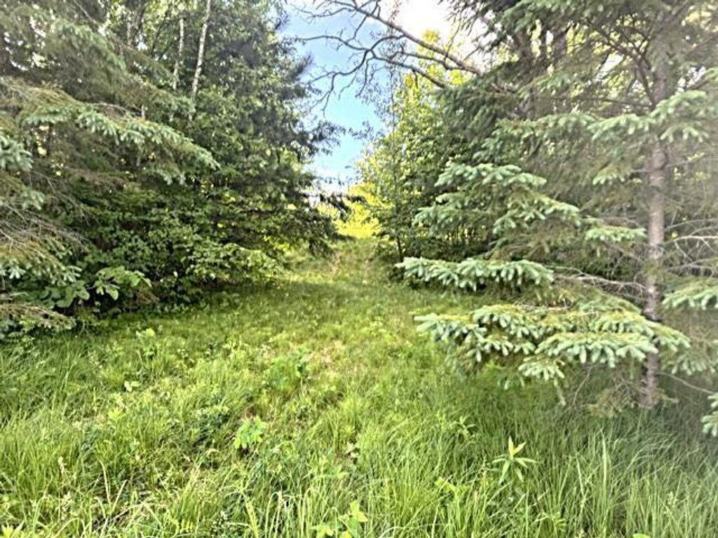 Photo of 23506 Bazanis Road, Cohasset, MN 55721 (MLS # 7091741)