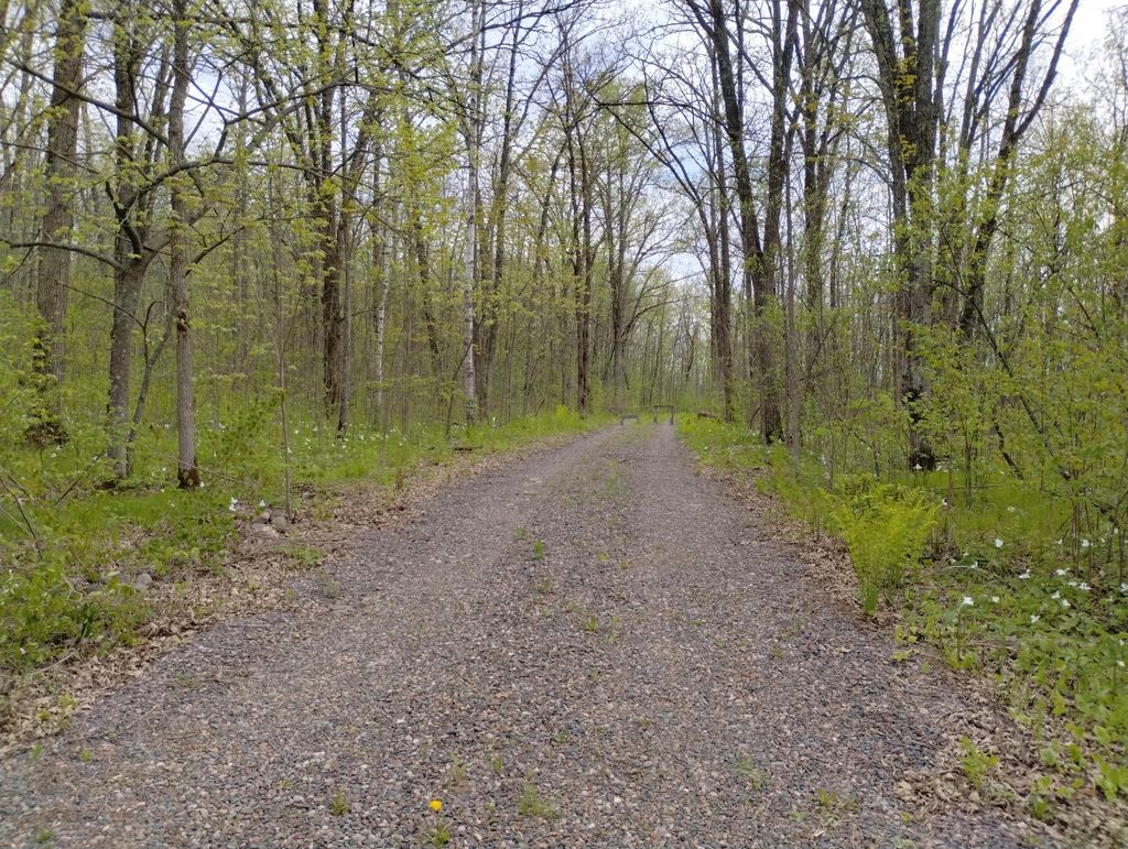 Photo of 2263 280th Avenue, Brook Park, MN 55007 (MLS # 7075503)