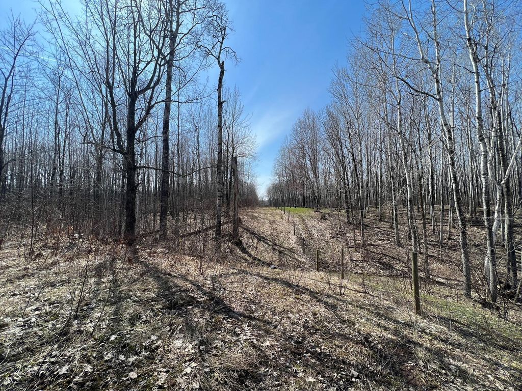Photo of TBD Gulley Road, Maple, WI 54854 (MLS # 7012529)