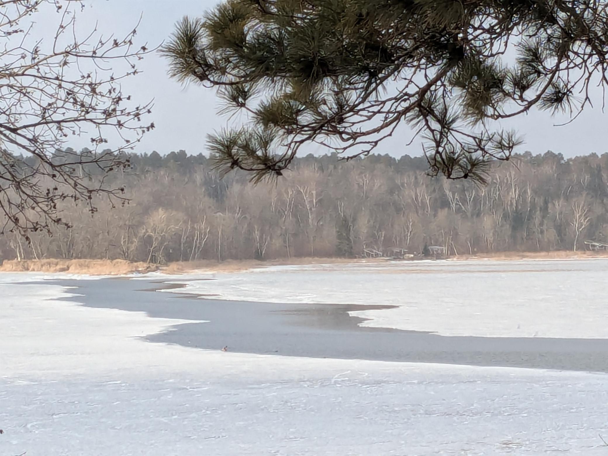 24281 Hazel Wood Drive