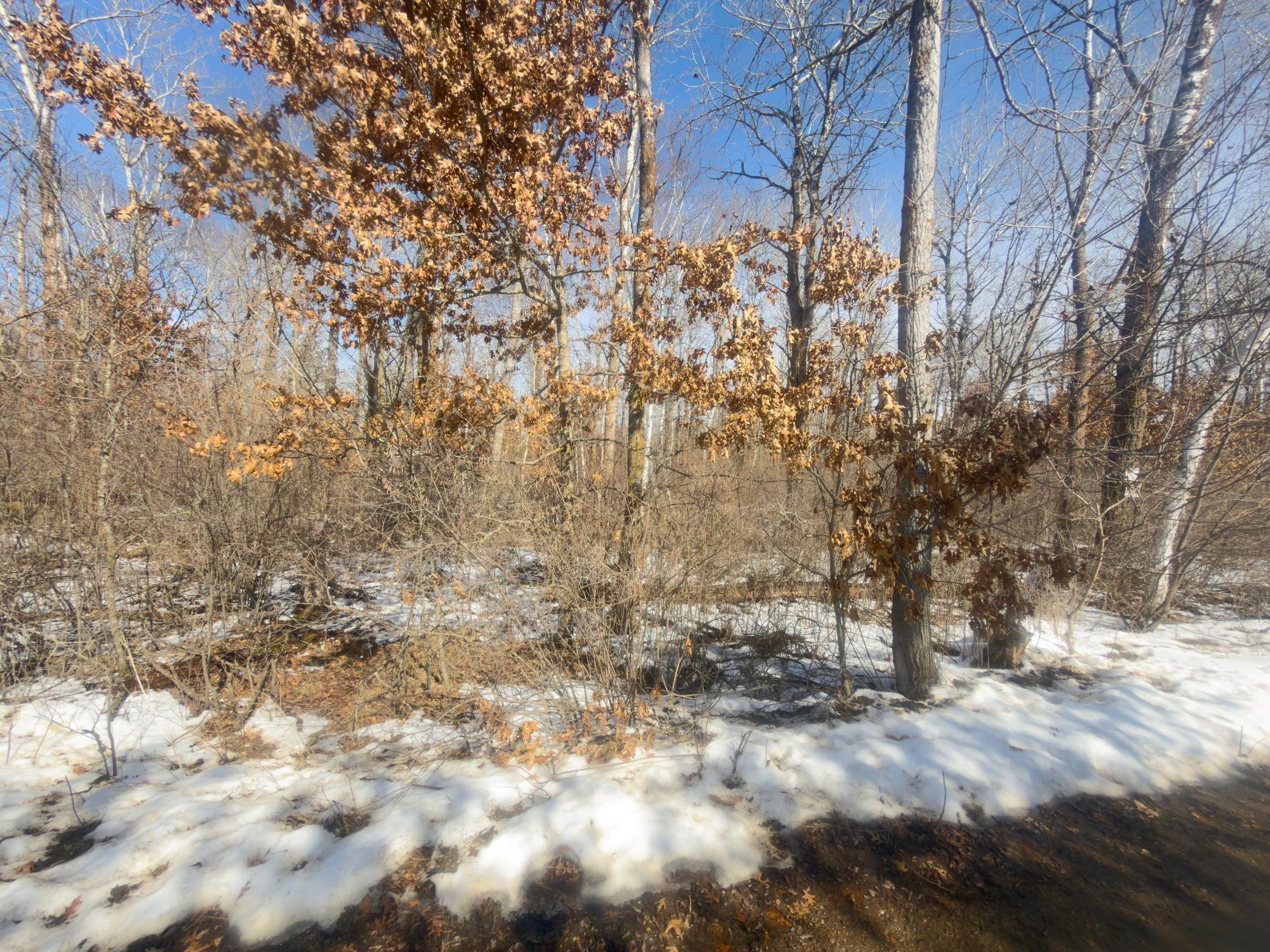 TBD 8 Bog Lake Trail