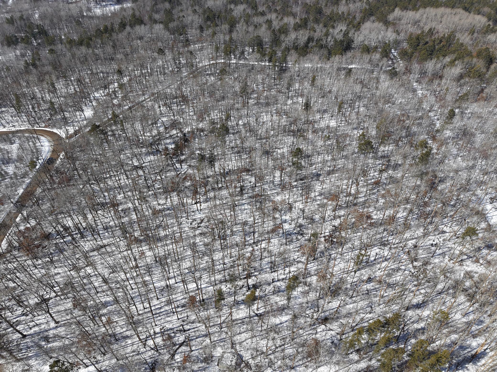 TBD 8 Bog Lake Trail