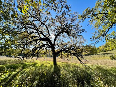 2807 Bamber Valley Road SW Rochester MN 55902