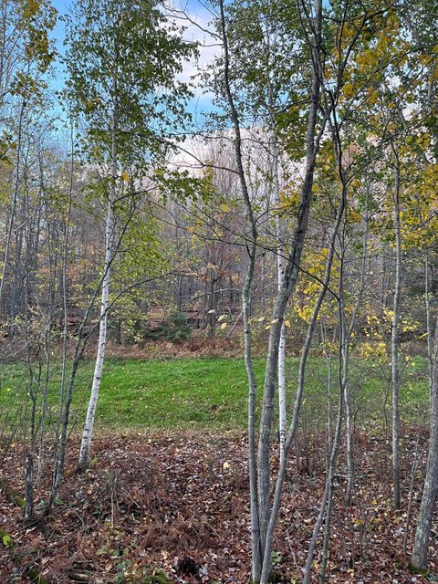 TBD Timberline Dr Grand Rapids MN 55744