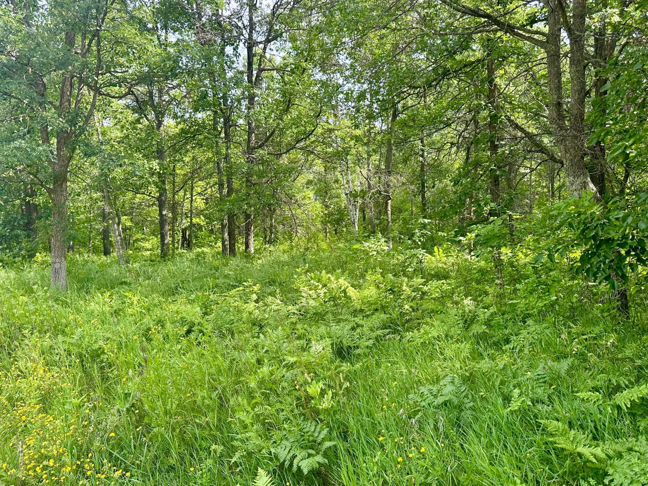 Lot 2 Blk 1 Eagle Drive NW